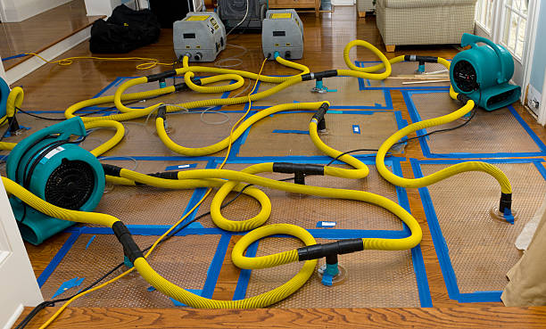 Professional Crawl Space Water Removal technician working in Waldo, WI